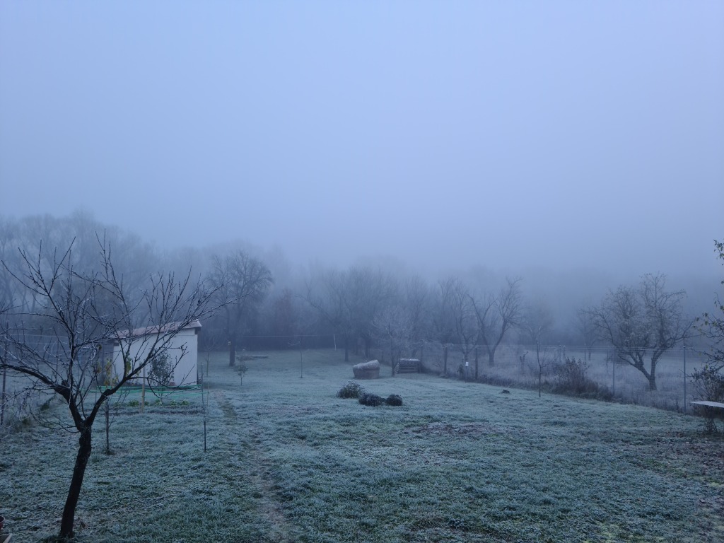 beillesztett kép