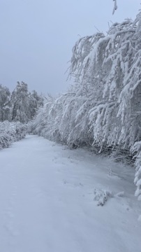 pic