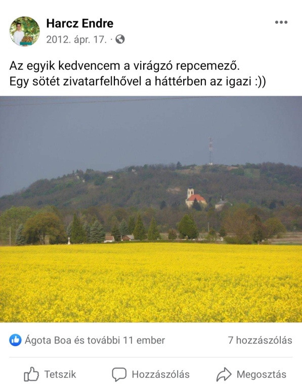 beillesztett kép